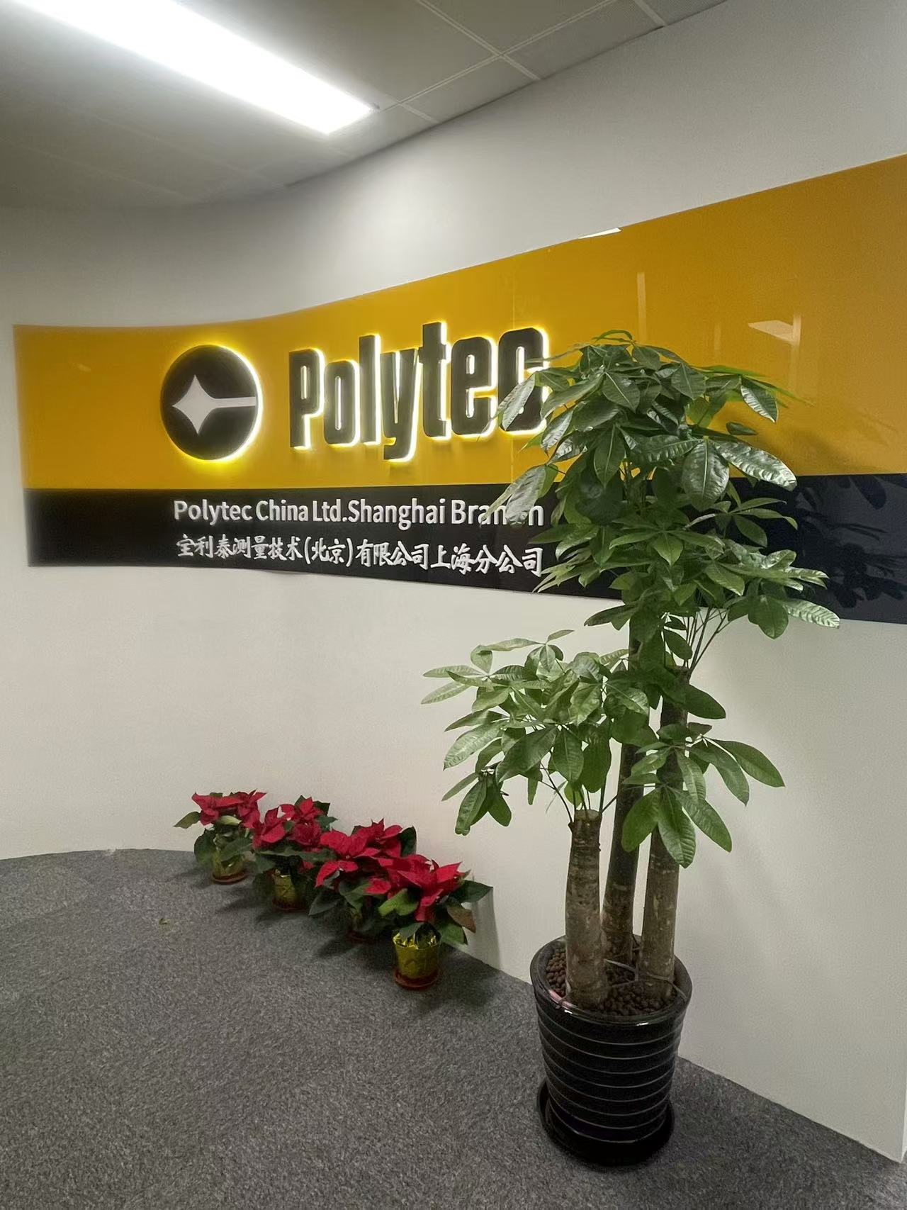 上海分公司正式開(kāi)業(yè)！新征程啟航，邀您共襄盛舉。璀璨開(kāi)幕，見(jiàn)證輝煌！